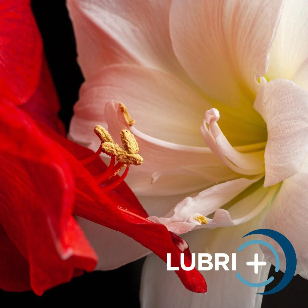 Gel lubrificante intimo - Lubri+ | 100ml - IntimaLAB